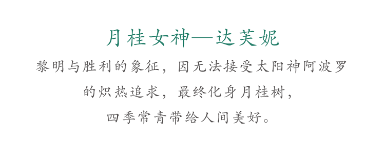 裁图-ccc-04.png