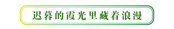 裁 - 标题-02.png