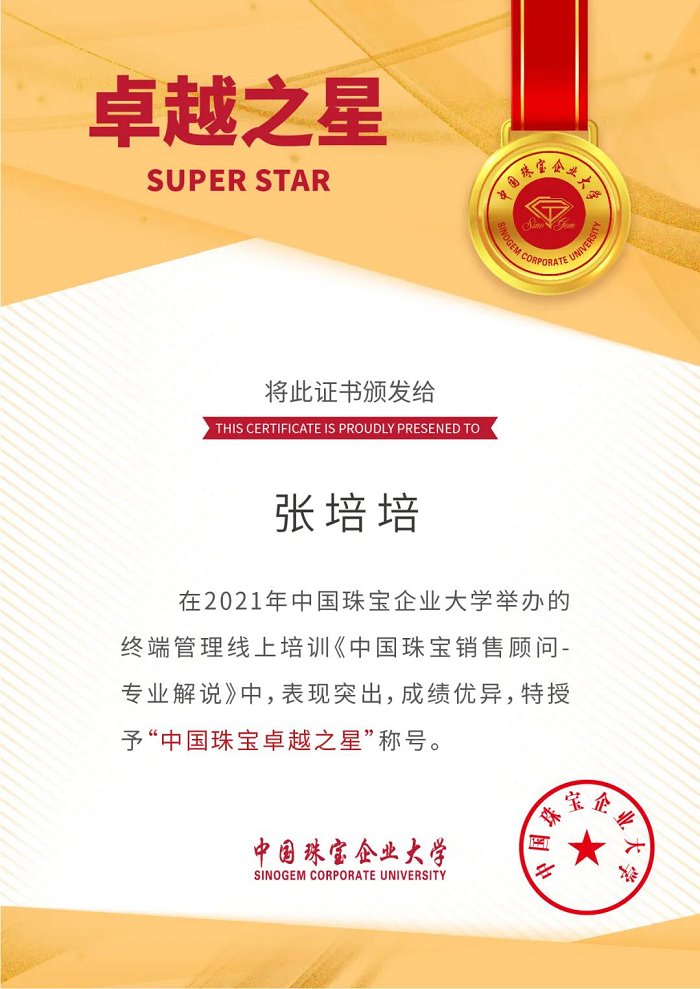 中国珠宝2021年第二、三期线上培训成功举办276.png